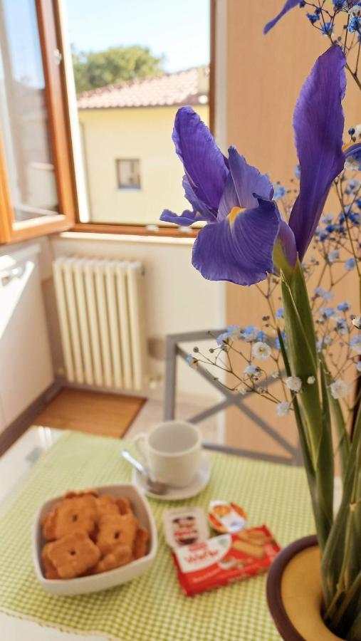 Casa Lilly Apartment Porto Sant'Elpidio Luaran gambar